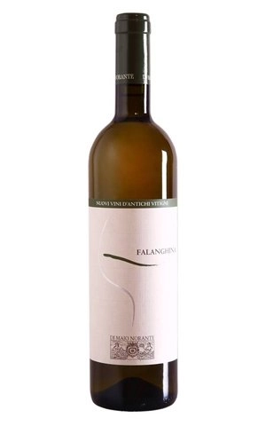 di-madzho-norante-falangina-del-molize