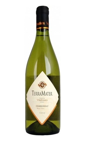 terramater-vinyard-shardonne